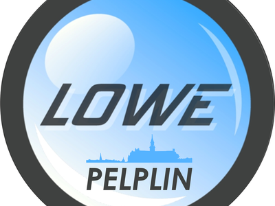 logo LOWE Pelplin 