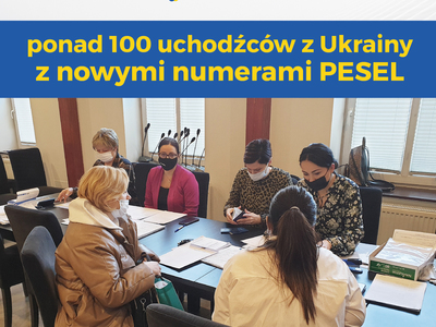 grafika uchodźcy pesel 