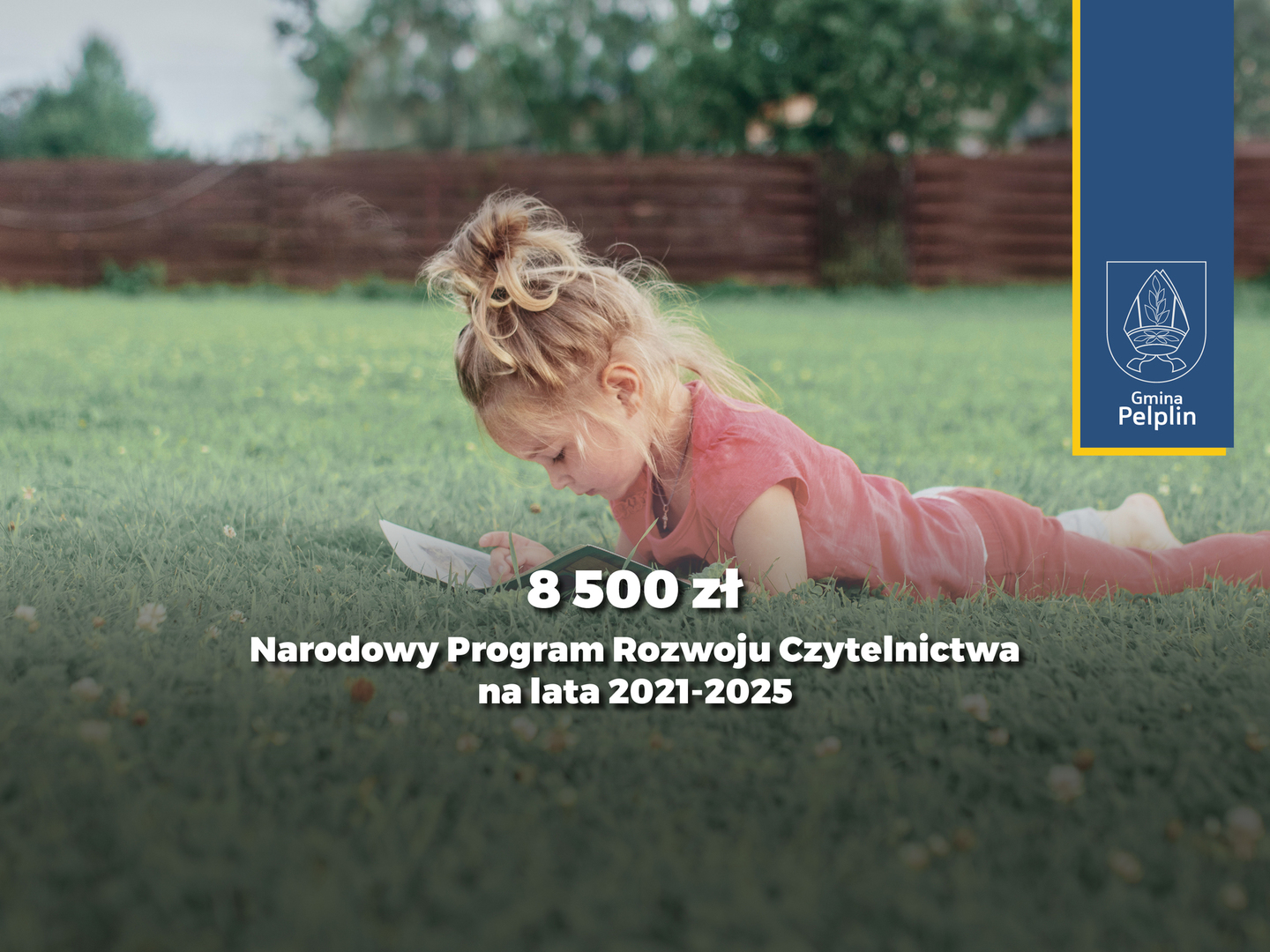grafika dot. Narodowego Programu Rozwoju Czytelnictwa 2.0