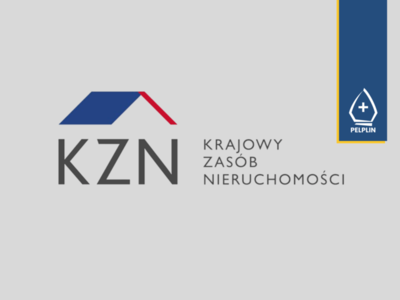 tło ankieta KZN