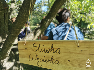 Podsumowanie projektu „Inteligentne wioski"
