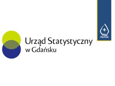 grafika tło badania ankietowe GUS