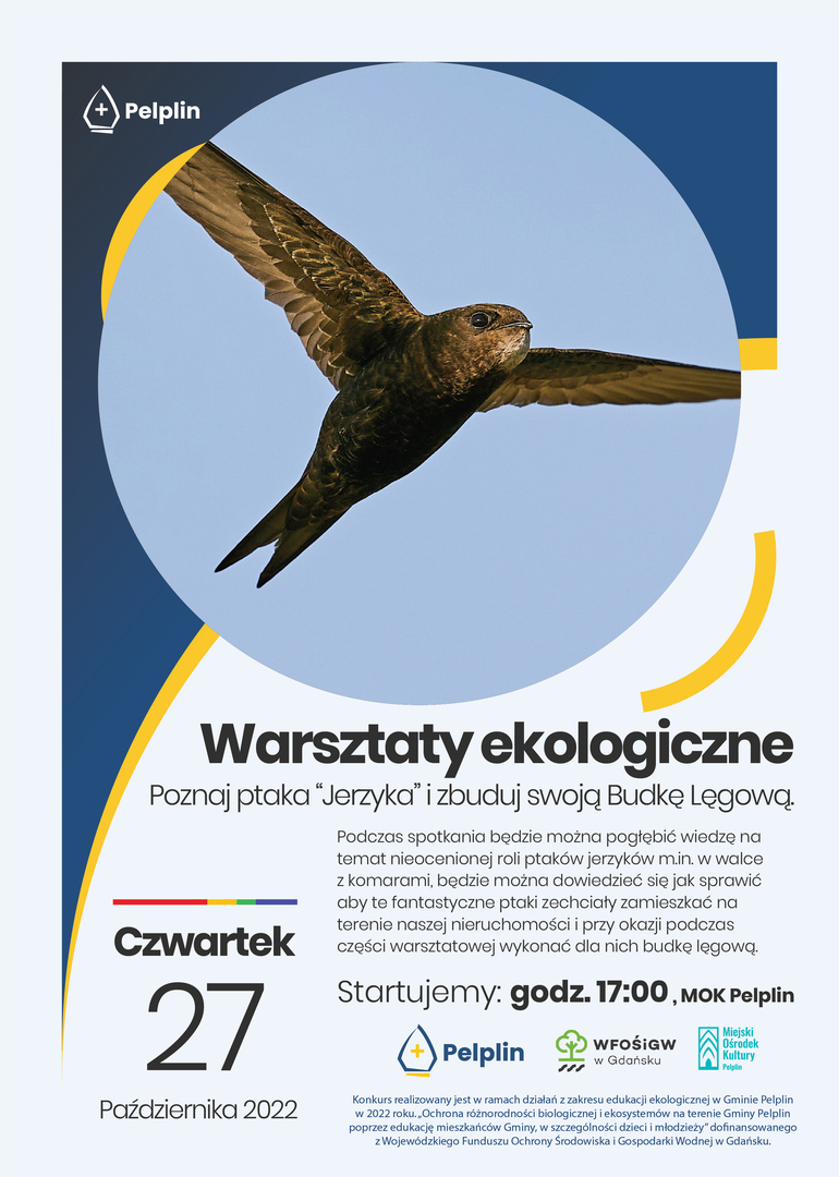 Poznaj ptaka jerzyka - warsztaty