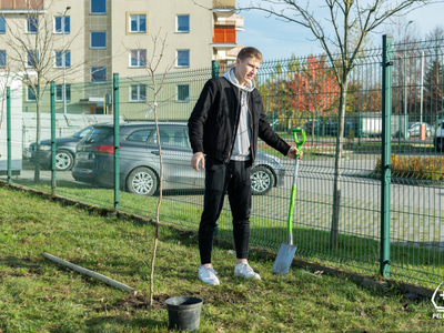 Zasadzono 12 Głogów w Pelplinie z koszykarzami
