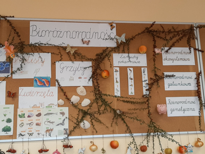 Wyniki konkursu na ciekawą lekcję o bioróżnorodności
