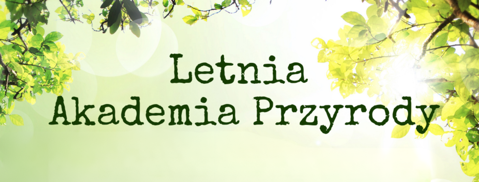 grafika tło Letnia Akademia Przyrody