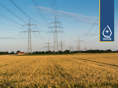 grafika przedstawiająca pole uprawne i linię energetyczną 