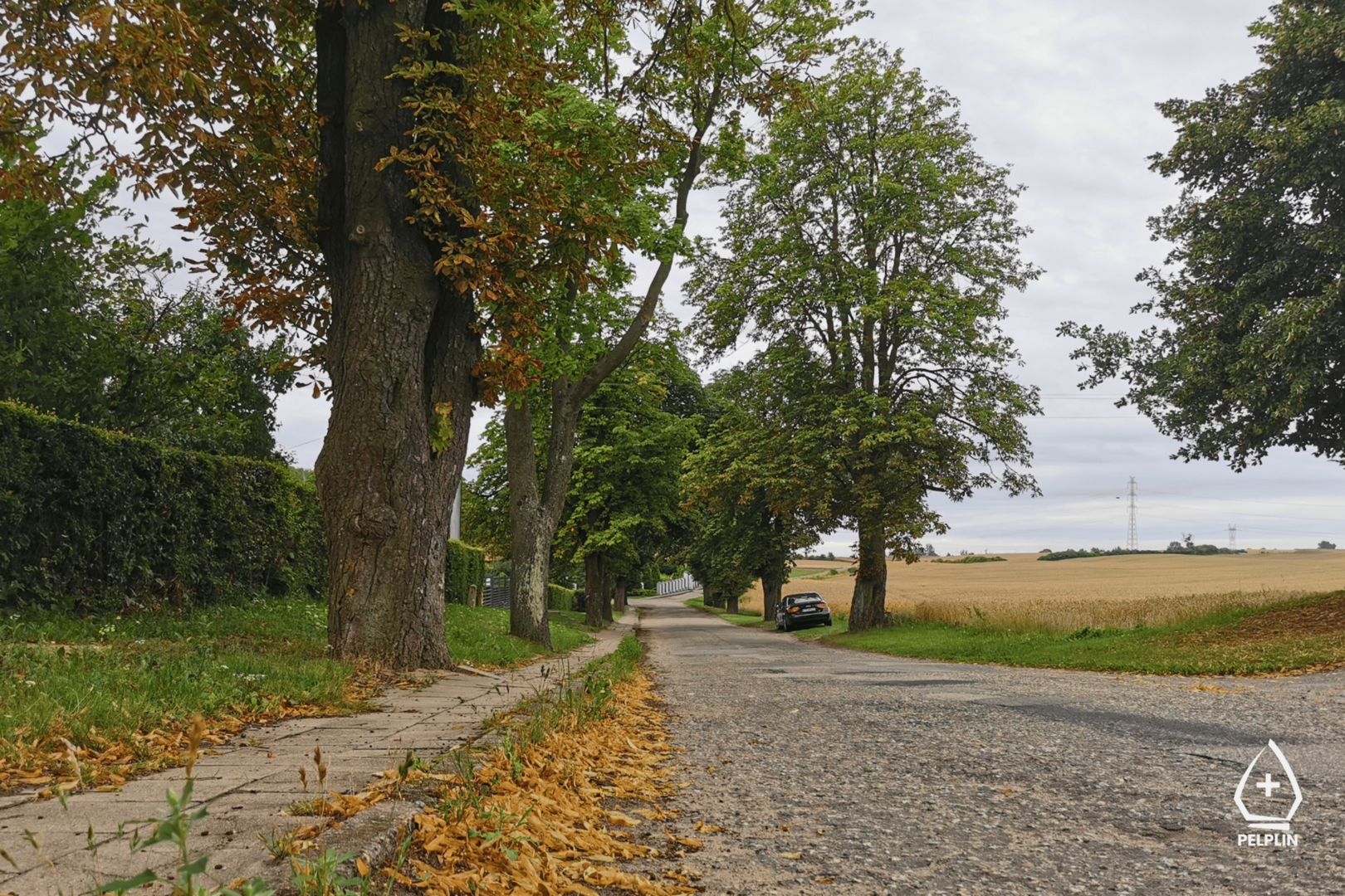 zdjęcie ul. Kasztanowej w Kulicach
