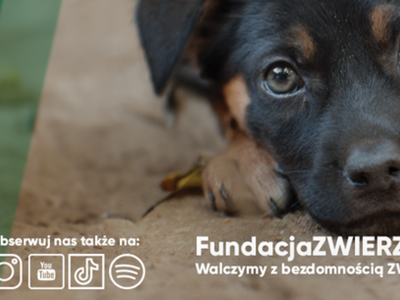 cover photo fundacja zwierz 