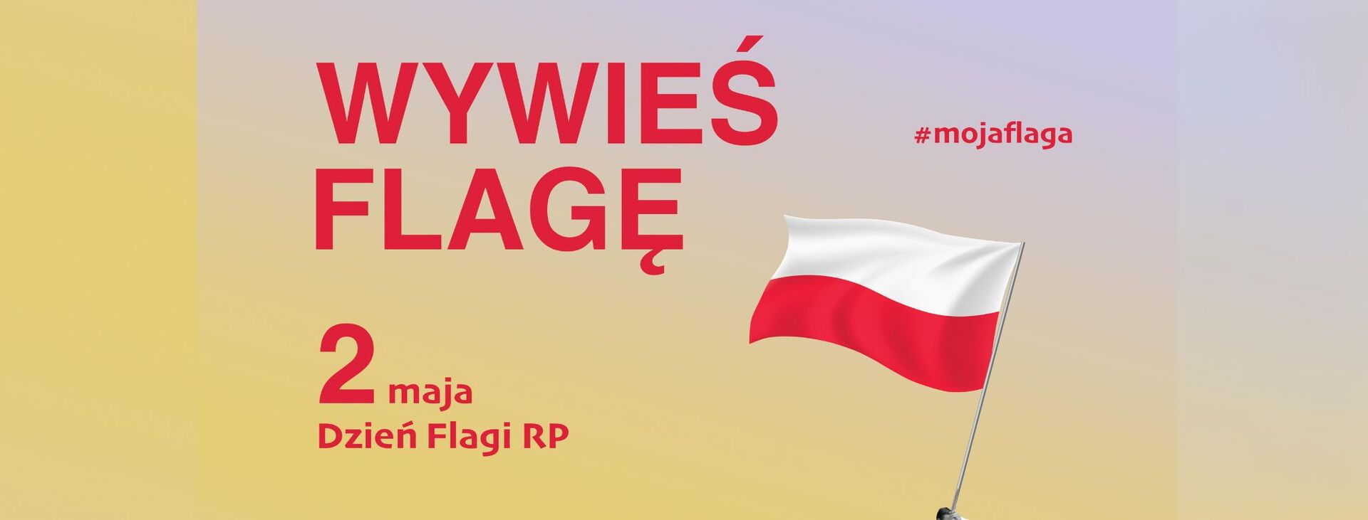 Dzień Flagi RP 2024