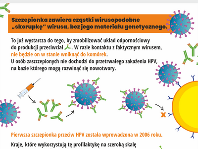grafika szczepienia przeciwko HPV