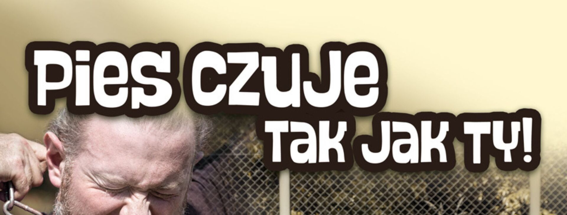 cover photo zwierza akcja lato 