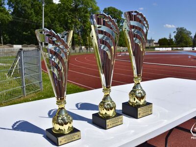 Zdjęcie z Drużynowych Mistrzostw Powiatu Tczewskiego Młodzików w Lekkoatletyce