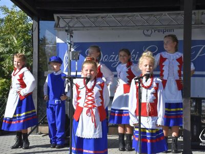 zdjęcie z Dożynek Gminy Pelplin 2024