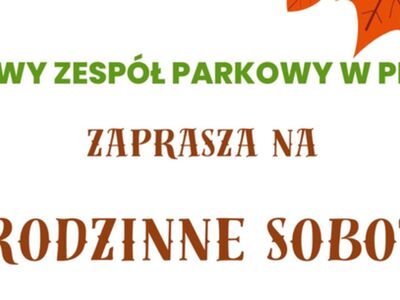 cover photo rodzinne soboty 