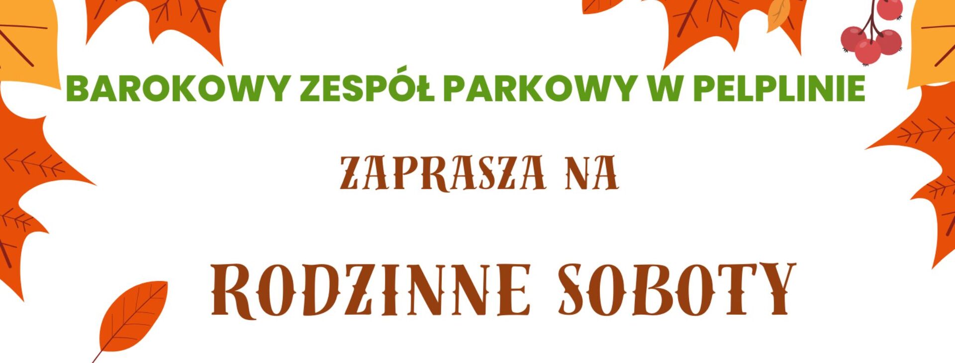 cover photo rodzinne soboty 