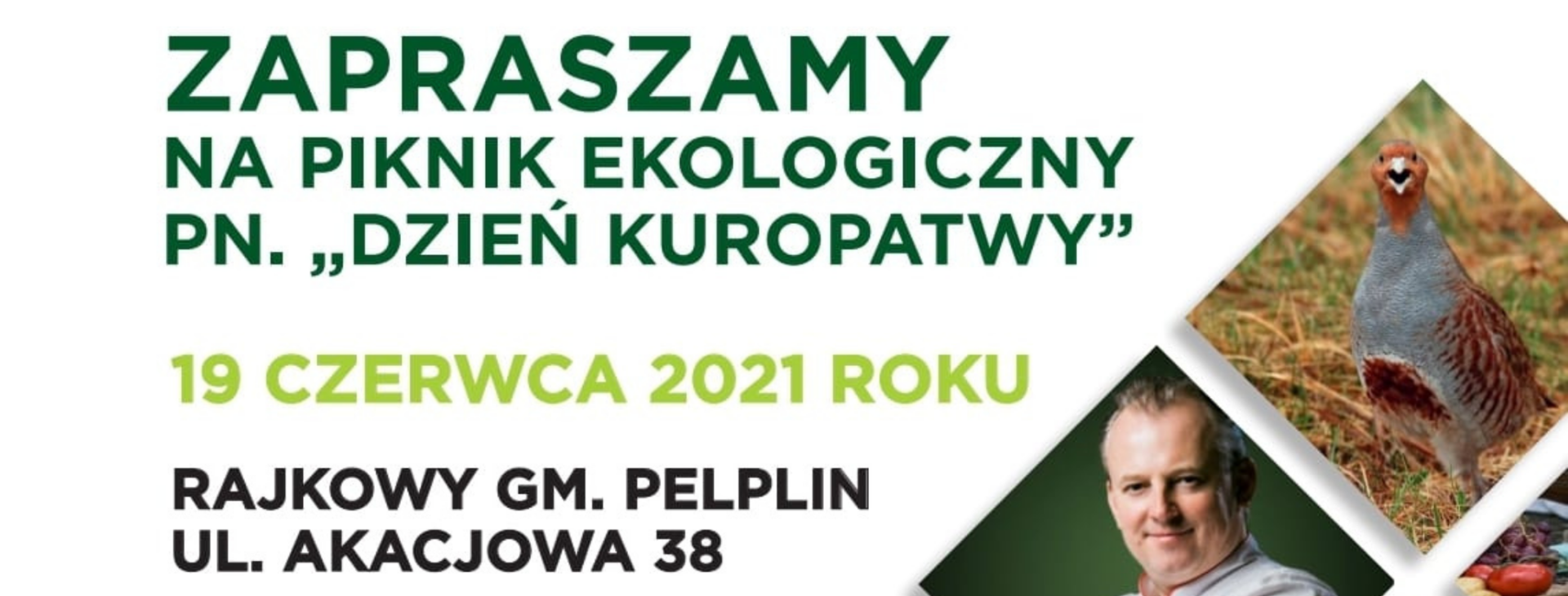 tło piknik ekologiczny „Dzień Kuropatwy”