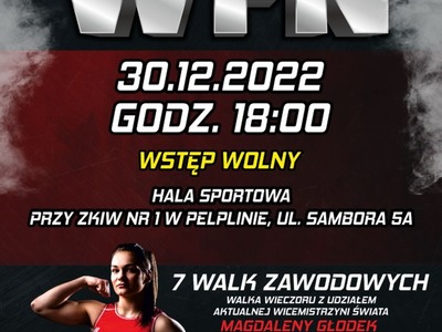 plakat Wrestling Fight Night