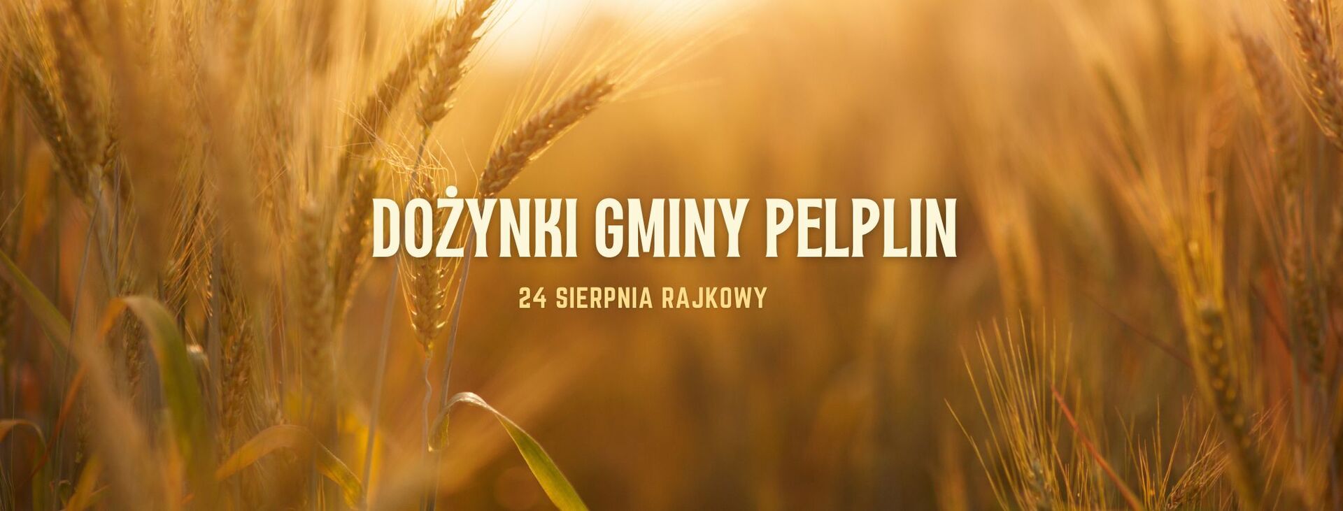 cover photo Dożynki Gminy Pelplin 2024