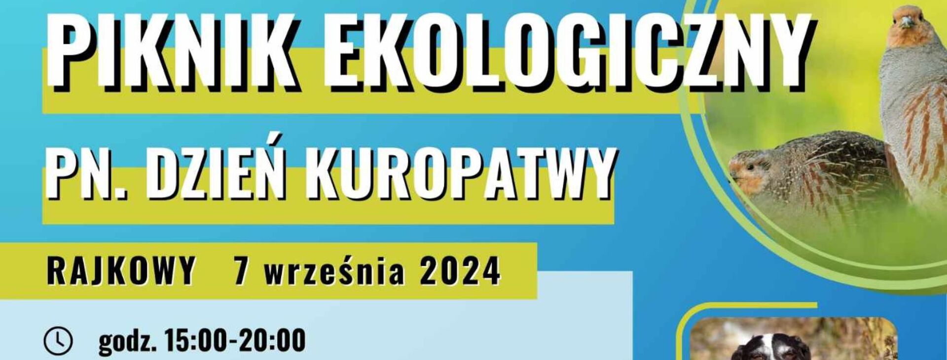 cover photo Piknik ekologiczny „Dzień Kuropatwy” 2024