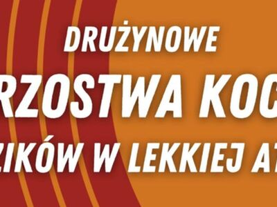 grafika