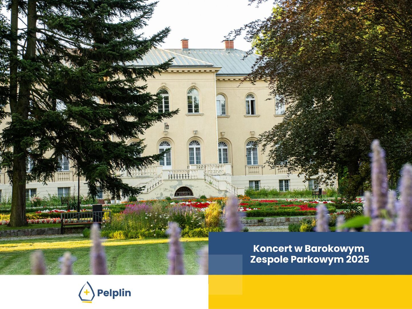 cover photo koncert 