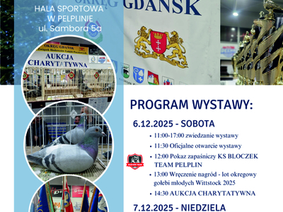 plakat Wystawa Okręgowa Gołębi Pocztowych 2025
