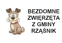 Bezdomne zwierzęta z Gminy Rząśnik