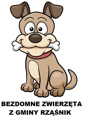 Bezdomne zwierzęta z gminy Rząśnik
