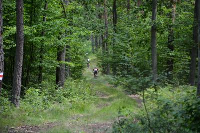 Legia MTB Maraton Porządzie 2025r.