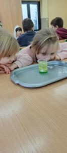 Uniwersytet Dziecięty w Rząśniku - Zjazd 3