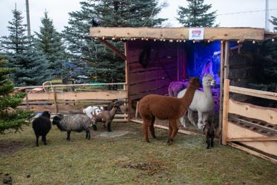 Jarmark Bożonarodzeniowy 2025