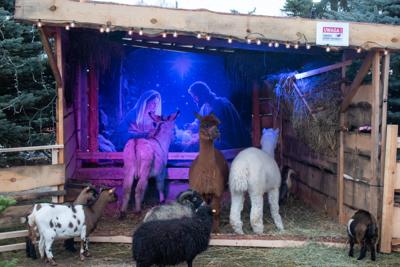 Jarmark Bożonarodzeniowy 2025