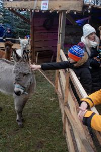 Jarmark Bożonarodzeniowy 2025