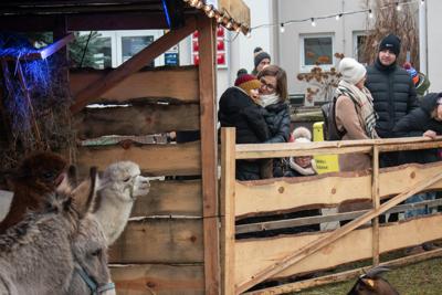 Jarmark Bożonarodzeniowy 2025