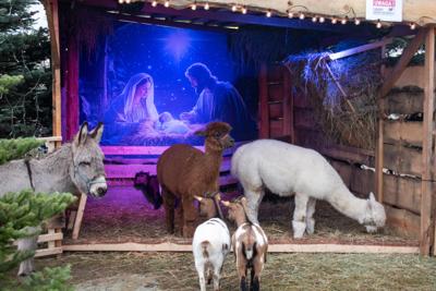 Jarmark Bożonarodzeniowy 2025