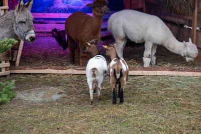 Jarmark Bożonarodzeniowy 2025