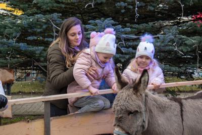 Jarmark Bożonarodzeniowy 2025