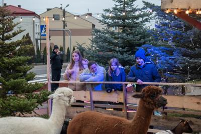 Jarmark Bożonarodzeniowy 2025