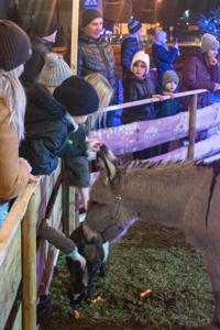 Jarmark Bożonarodzeniowy 2025