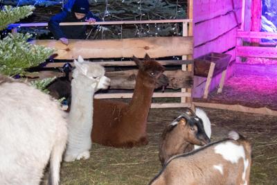 Jarmark Bożonarodzeniowy 2025