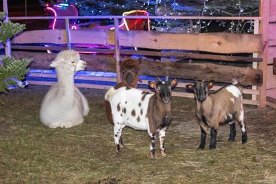 Jarmark Bożonarodzeniowy 2025