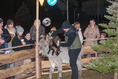 Jarmark Bożonarodzeniowy 2025