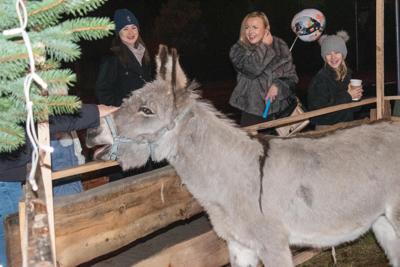 Jarmark Bożonarodzeniowy 2025
