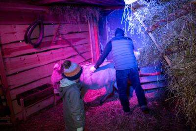 Jarmark Bożonarodzeniowy 2025