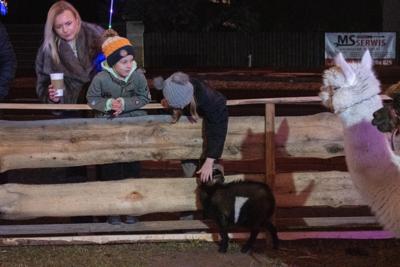 Jarmark Bożonarodzeniowy 2025