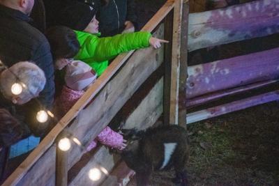 Jarmark Bożonarodzeniowy 2025