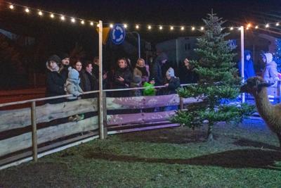 Jarmark Bożonarodzeniowy 2025