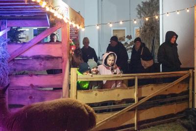 Jarmark Bożonarodzeniowy 2025