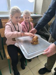 Uniwersytet Dziecięcy w Rząśniku - Zjazd IV